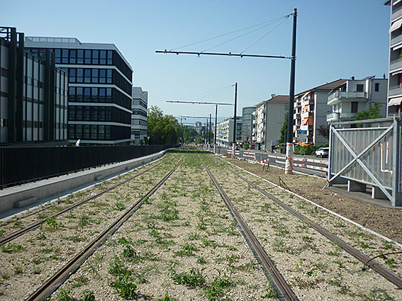Die Rue de Lausanne in Renens-Village, Blick in Richtung Bahnhof Renens